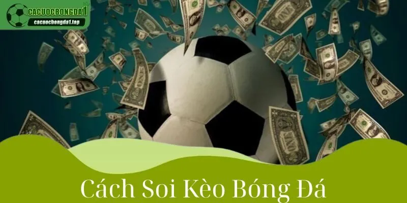cách soi kèo bóng đá