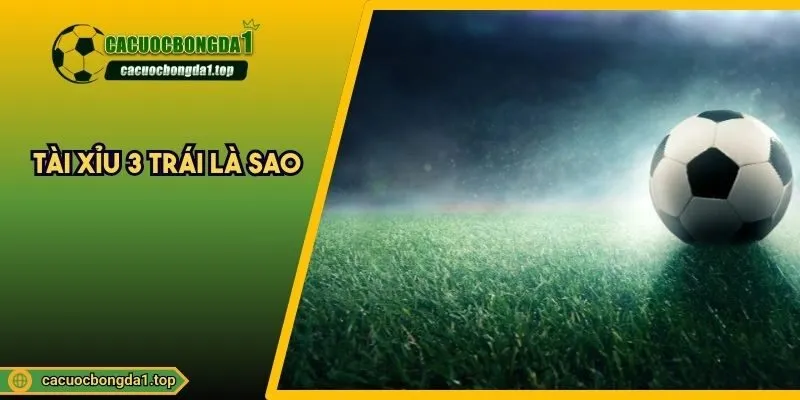 Tài xỉu 3 trái là sao